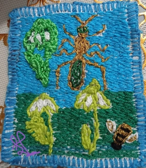 Doresc colaborare cu Grădinițe, Scoli Ong-uri - imagine 5