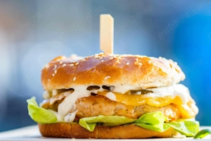 Căutăm colaborator pentru FOOD TRUCK   parteneriat   franciză - imagine 6