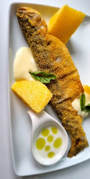 Căutăm colaborator pentru FOOD TRUCK   parteneriat   franciză - imagine 5