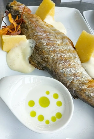 Căutăm colaborator pentru FOOD TRUCK   parteneriat   franciză - imagine 4