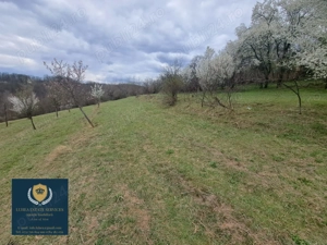 Teren 25428 mp! Calea Timișorii, Reșița! - imagine 3