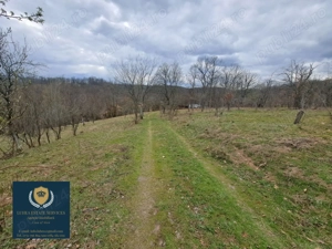 Teren 25428 mp! Calea Timișorii, Reșița! - imagine 6