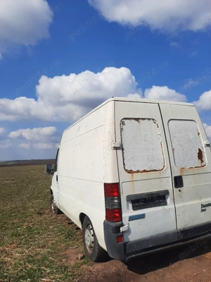 Vand duba la dezmembrari - imagine 2