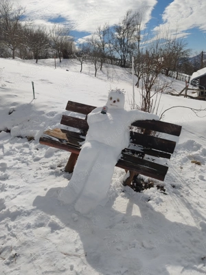 Cabana Coasta Tare, Valea Doftanei, Prahova  - imagine 2