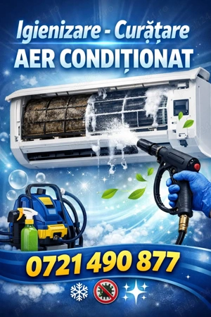 Aer  Conditionat - imagine 5