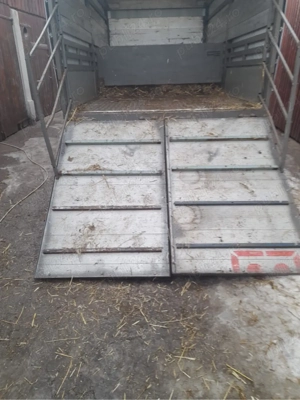 transport animale vii