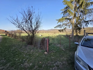 Teren intravilan com. Petris - imagine 4