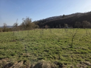 Teren intravilan com. Petris - imagine 2