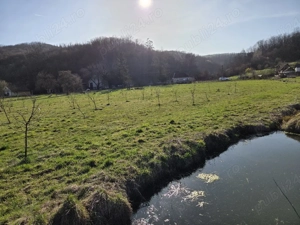 Teren intravilan com. Petris - imagine 3