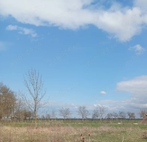 Grădină de vânzare