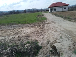 Vand casa la roșu si teren de 10000mp - imagine 5
