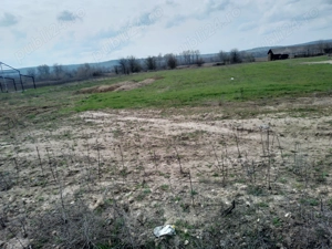 Vand casa la roșu si teren de 10000mp - imagine 3