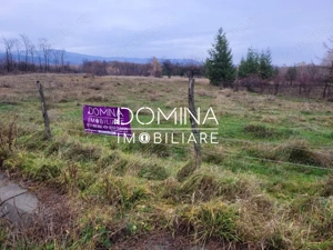 Vanzare teren 5000 mp, intravilan+extravilan, in comuna Crasna  - imagine 9