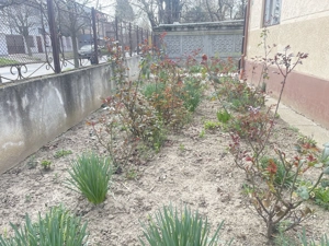 Casa de vanzare cu teren 572 mp si front generos 21 ml - imagine 7