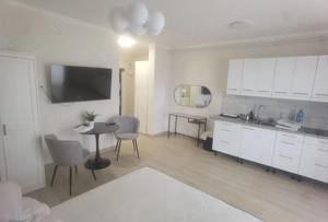 Apartament cu 1 camere mobilat si utilat Giroc Aleea cu Plopi - imagine 2