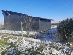 Teren PERIS - Movila - Utilități + Asfalt  - imagine 8