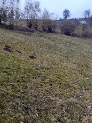 Vând teren intravilan Zona Ghețar (Gârda de Sus)