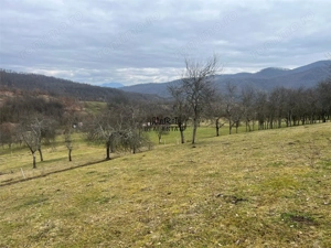 Teren intravilan si extravilan Luncoiu de Jos - imagine 14