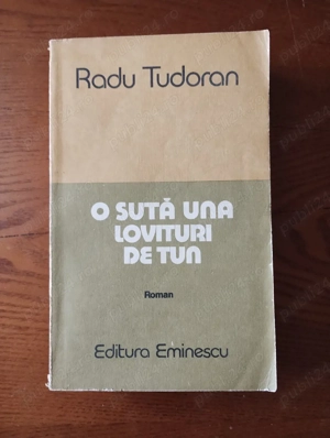 89. Carte, O sută lovituri de tun, Radu Tudoran 