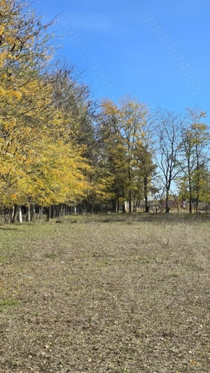 PARCELEARE NOUA, drum asfaltat , Constanta com Cobadin -460 mp ,   - imagine 2