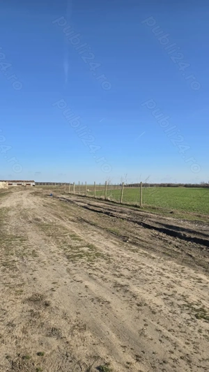 ,Teren Intravilan pentru gradini, afaceri,  COBADIN  jud. Constanta 800 mp