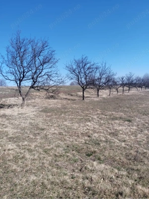 Vand teren plus casa - imagine 5