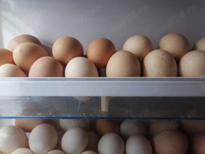 Vind ouă de găini de casă 1,5 lei 