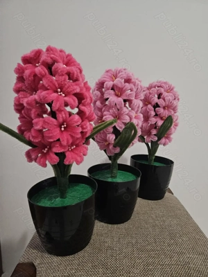 Zambile Nemuritoare de Vânzare 