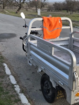 triciclu electric  - imagine 3