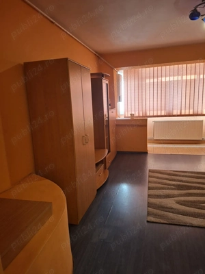 Garsoniera Titan - Constantin Brancusi - imagine 2