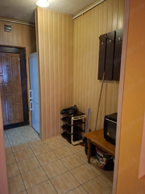 Garsoniera Titan - Constantin Brancusi - imagine 7