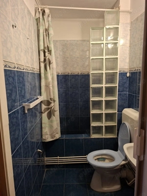 Garsoniera Titan - Constantin Brancusi - imagine 8