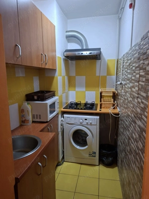 Garsoniera Titan - Constantin Brancusi - imagine 10