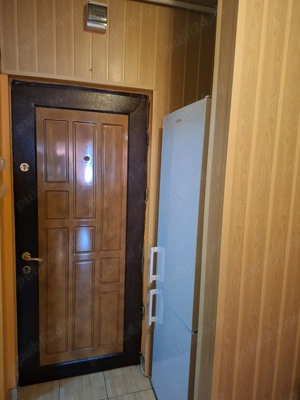 Garsoniera Titan - Constantin Brancusi - imagine 9