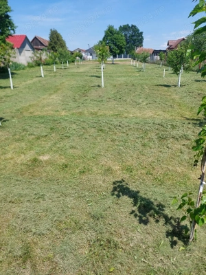 Casă parter cu teren 2200m2 la 10 min de Sibiu - imagine 8