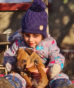 kamikaze terrier caini de vanatoare big game si sobolani - imagine 3