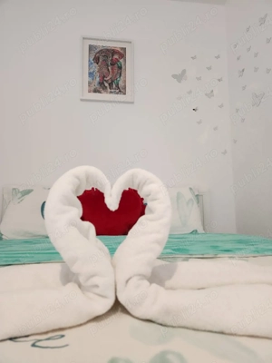 Regim hotelier sau cu ora la parter,cu parcare gratuita aproape de UVVG si judetean,self check in - imagine 2