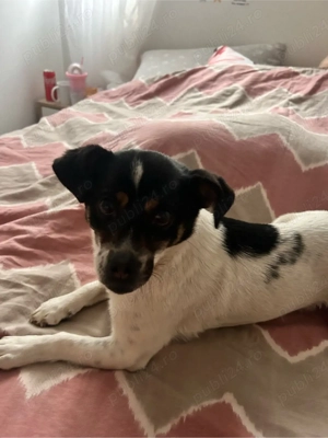   ajuta-ma sa ajung acasa'!   - imagine 4