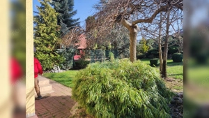 Comision 0%! Casa individuala 190 mp, teren 680 mp, cartierul Europa - imagine 8