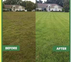 Pregătire profesională gazon   sezon nou, gazon perfect! - imagine 2