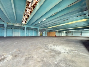 Spațiu industrial de vânzare în Aradul Nou / Arad - imagine 19