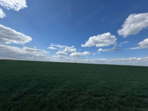 Teren extravilan 17700mp Biharia - imagine 5