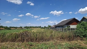 Vând teren intravilan în Soldanu 