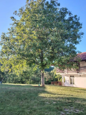 Cazare Statiunea Geoagiu băi  - imagine 4