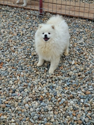 o superbitate de baietel la 1 an - imagine 2