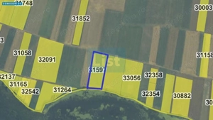 Teren cu Vedere Panoramică la Dunăre – Berzasca