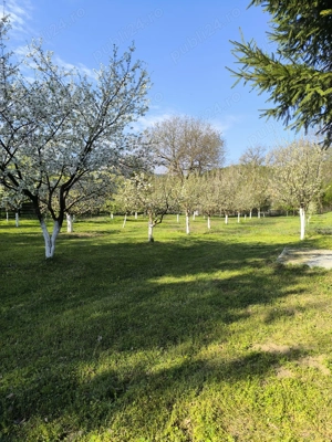 Proprietar,vand casa la 25 km de Pitești,cu teren 2100mp  - imagine 10