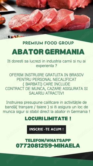 Locuri de munca ABATOR Germania