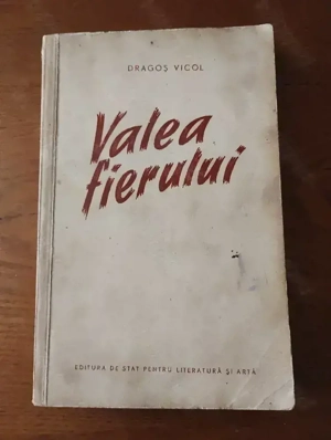 92. Carte, Valea Fierului, Dragoș Vicol 