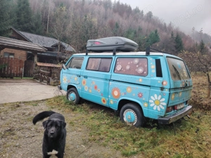 Vând 2 buss VW anii 80 